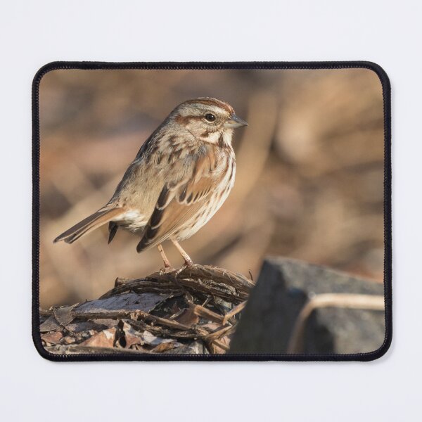 Item preview, Song Sparrow designed and sold by LaurenTucker.