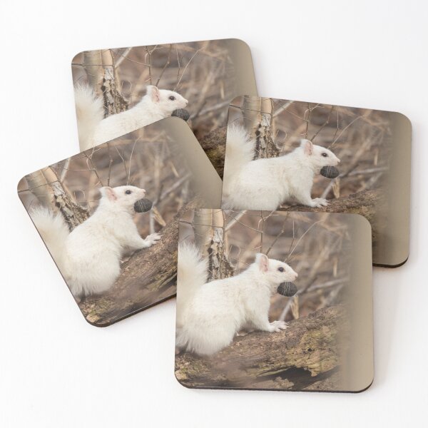 Item preview, White Squirrel designed and sold by LaurenTucker.