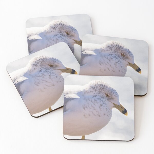 Item preview, Gaviota de pico anillado designed and sold by LaurenTucker.