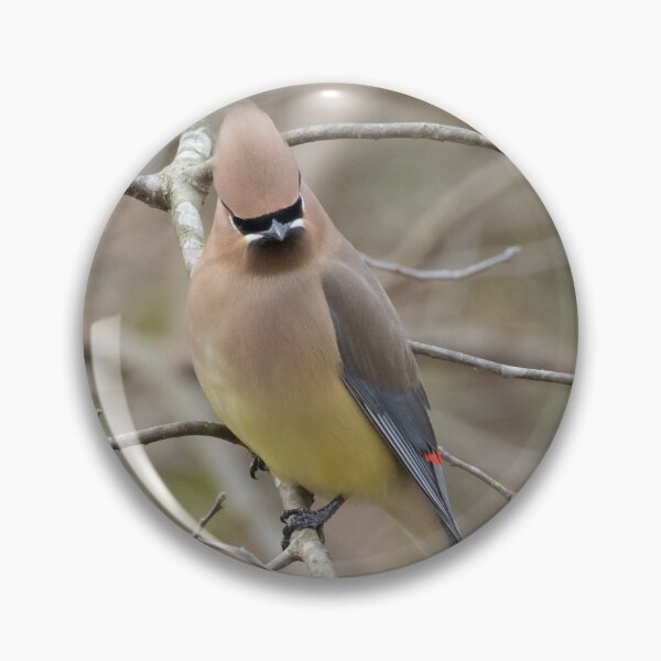 Item preview, Cedar Waxwing designed and sold by LaurenTucker.