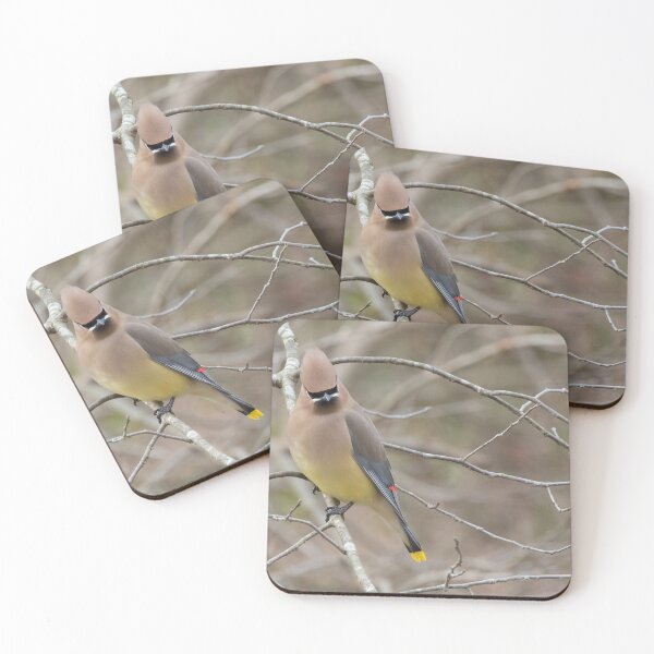 Item preview, Cedar Waxwing designed and sold by LaurenTucker.