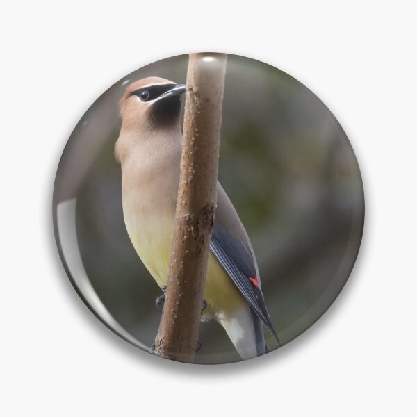 Item preview, Cedar Waxwing designed and sold by LaurenTucker.