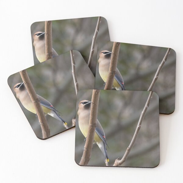 Item preview, Cedar Waxwing designed and sold by LaurenTucker.
