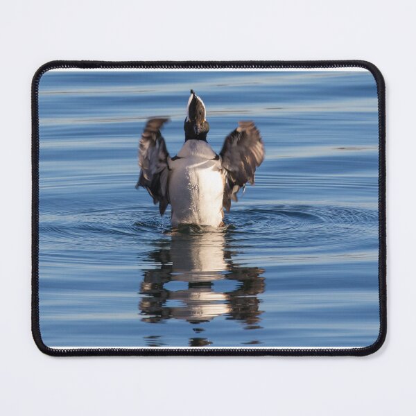 Item preview, Hooded Merganser designed and sold by LaurenTucker.