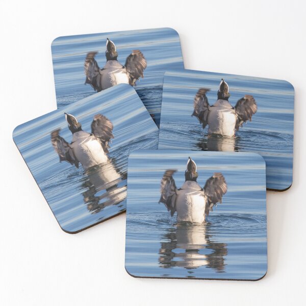 Item preview, Hooded Merganser designed and sold by LaurenTucker.