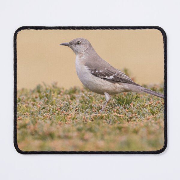 Item preview, Northern Mockingbird designed and sold by LaurenTucker.