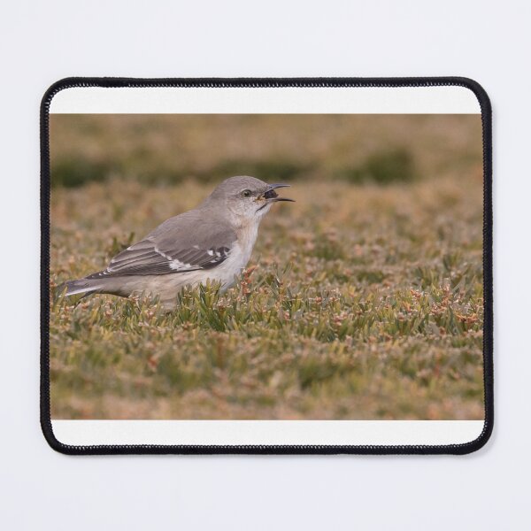 Item preview, Northern Mockingbird designed and sold by LaurenTucker.