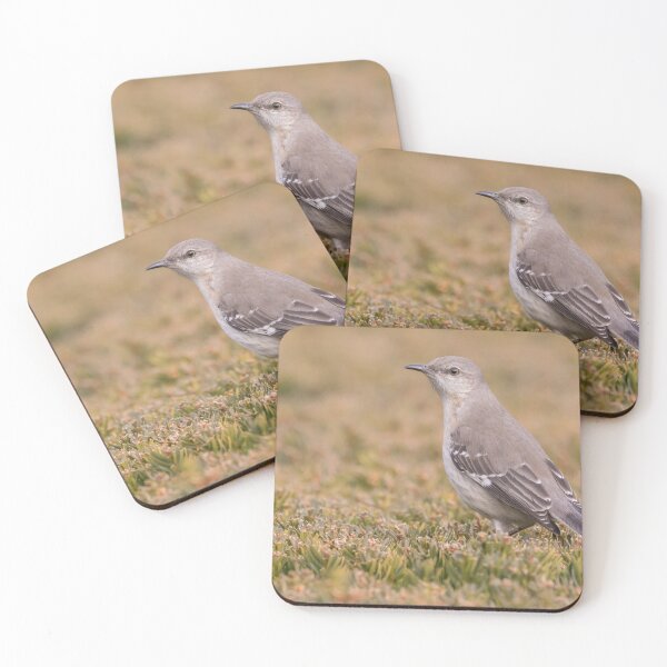 Item preview, Northern Mockingbird designed and sold by LaurenTucker.