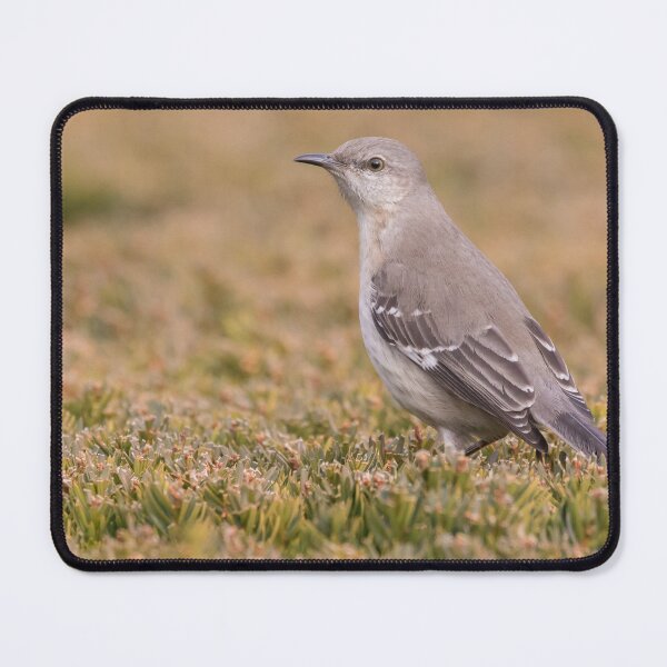 Item preview, Northern Mockingbird designed and sold by LaurenTucker.