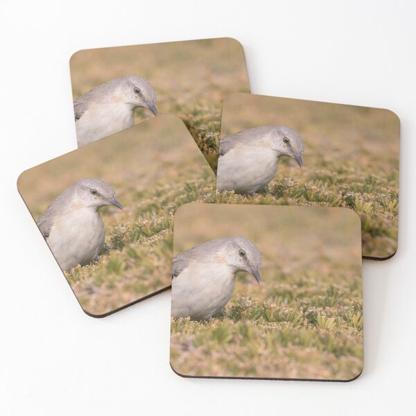Item preview, Northern Mockingbird designed and sold by LaurenTucker.