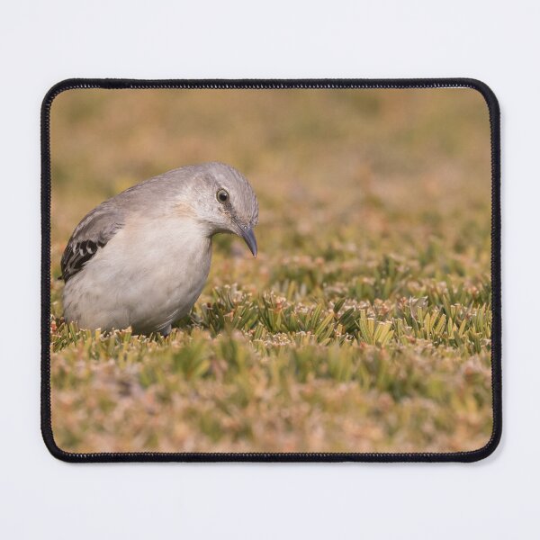 Item preview, Northern Mockingbird designed and sold by LaurenTucker.
