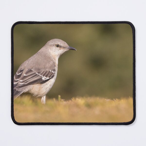 Item preview, Northern Mockingbird designed and sold by LaurenTucker.