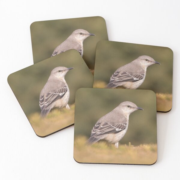 Item preview, Northern Mockingbird designed and sold by LaurenTucker.