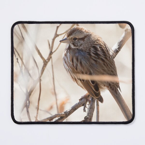 Item preview, Song Sparrow designed and sold by LaurenTucker.