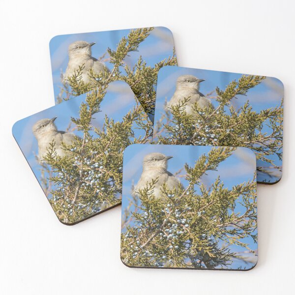 Item preview, Northern Mockingbird designed and sold by LaurenTucker.