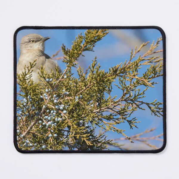 Item preview, Northern Mockingbird designed and sold by LaurenTucker.