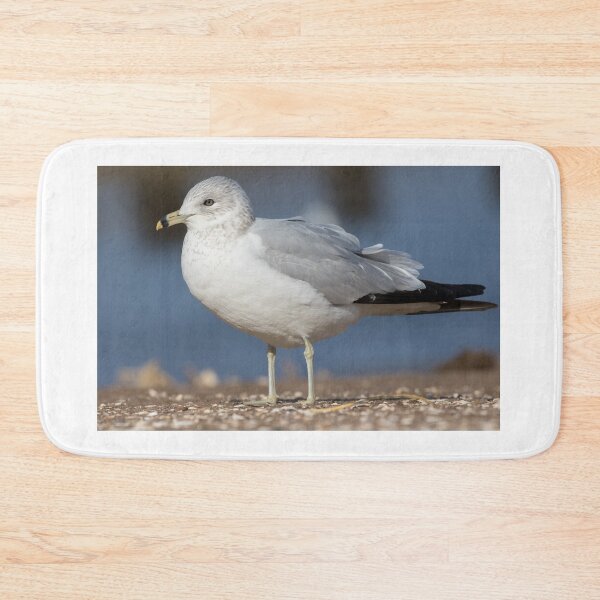 Item preview, Ring Billed Gull designed and sold by LaurenTucker.