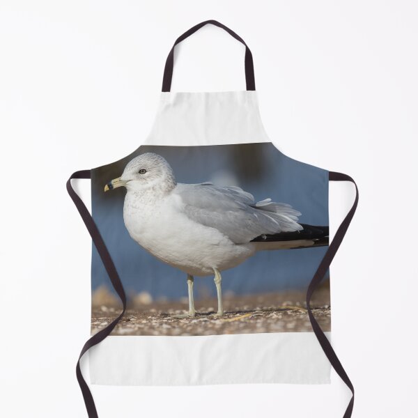 Item preview, Ring Billed Gull designed and sold by LaurenTucker.