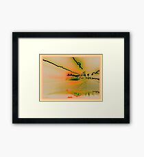 Global Warming Framed Print