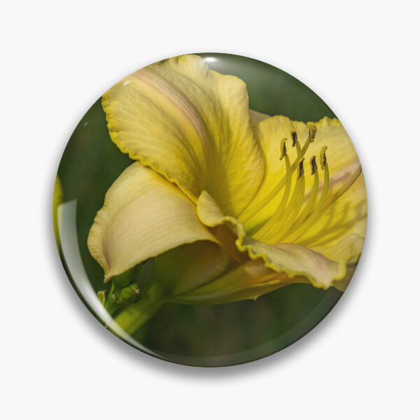 Item preview, Wild Lilly designed and sold by barkeypf.