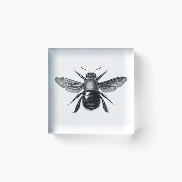 Item preview, Bumble Bug designed and sold by RupertAndCo.