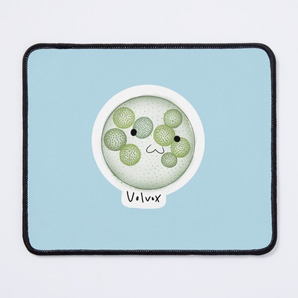 Item preview, Cute Volvox designed and sold by grahamm1274.