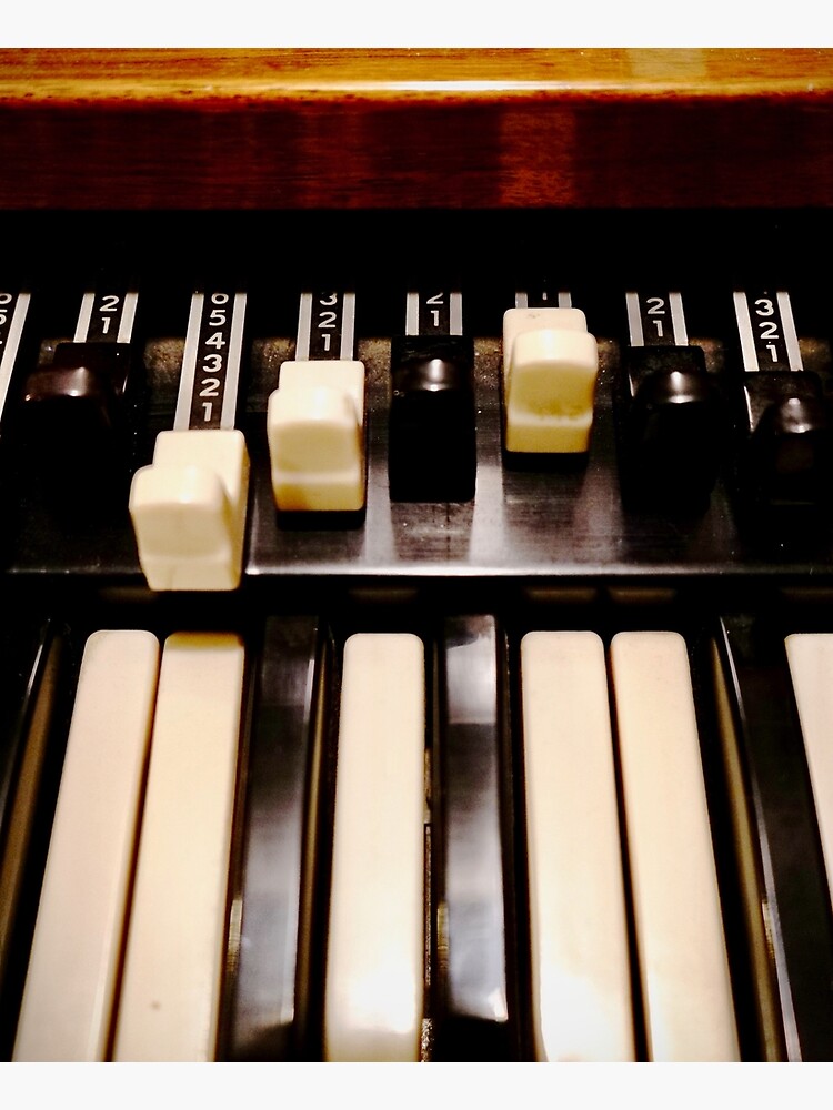 Hammond B3 Organ by douglasewelch