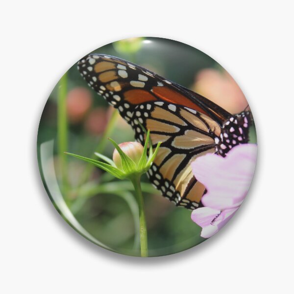 Item preview, Monarch Butterfly on Flower  designed and sold by coastalcoloring.
