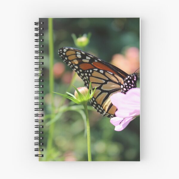 Item preview, Monarch Butterfly on Flower  designed and sold by coastalcoloring.