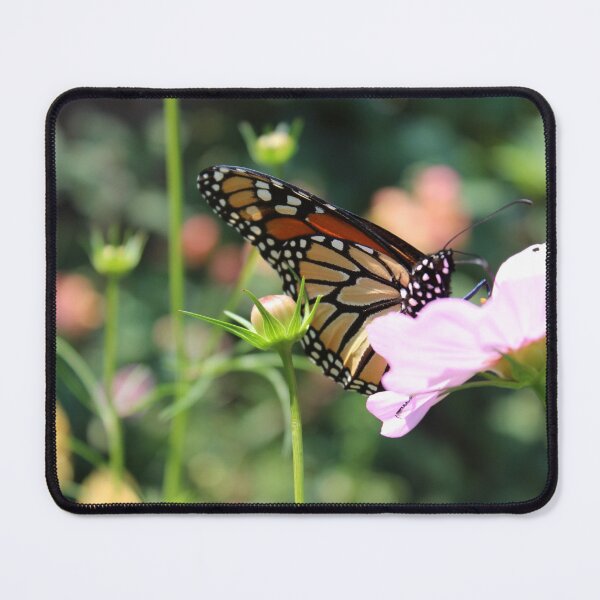 Item preview, Monarch Butterfly on Flower designed and sold by coastalcoloring.