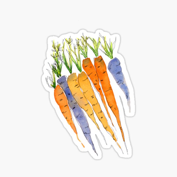 Carrots purple and orange Sticker