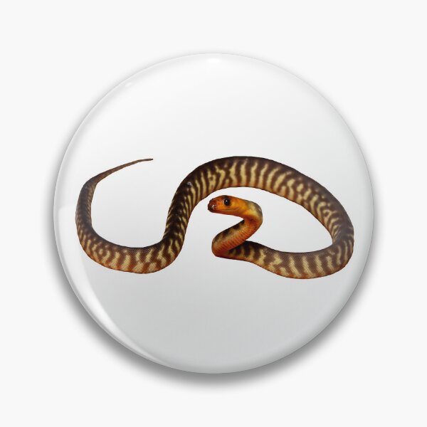 Artikelvorschau, Eine atemberaubende Woma-Python (Aspidites ramsayi) entworfen und verkauft von CNZdenek.