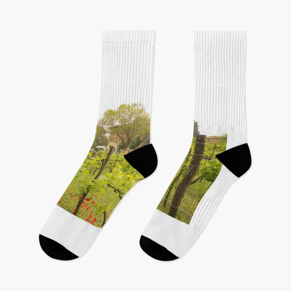 Item preview, Italian Garden designed and sold by ianmark.