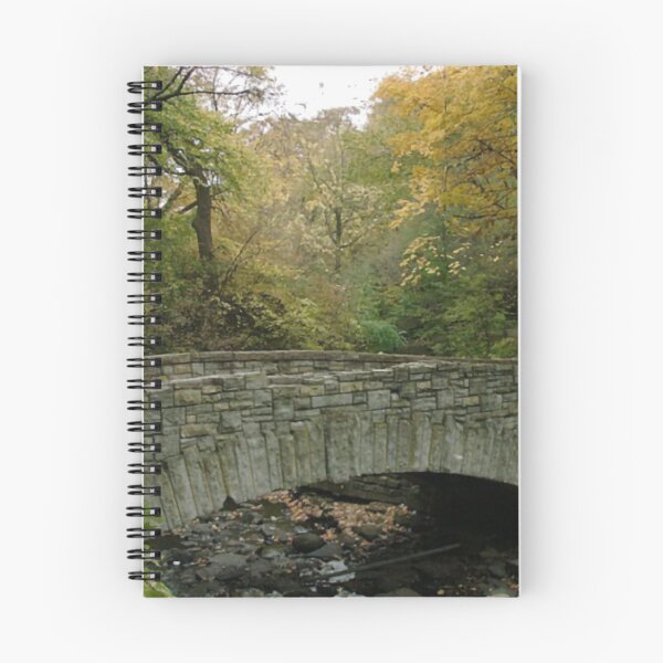 Item preview, Minnehaha Bridge designed and sold by StudioEmilia.