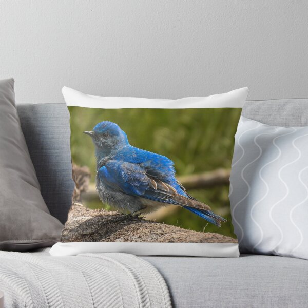 Item preview, Enjoying the sunshine designed and sold by WesleyBarr.