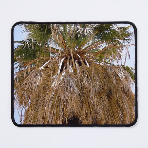 Item preview, Palm Tree designed and sold by Shulie1.