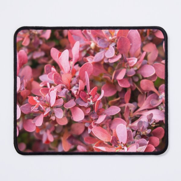 Item preview, Barberry Leaves designed and sold by smbdesigndenver.