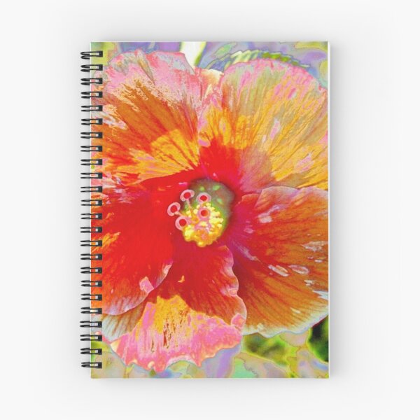 Artikelvorschau, Rosiger Pfirsichhibiscus entworfen und verkauft von B. Randi Bailey.