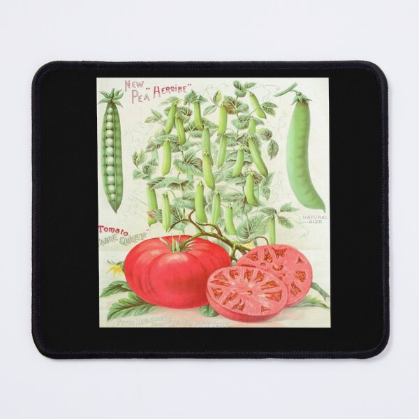 Item preview, Vintage Pea and Tomato Seed Packet from the 1800's designed and sold by MountMercantile.