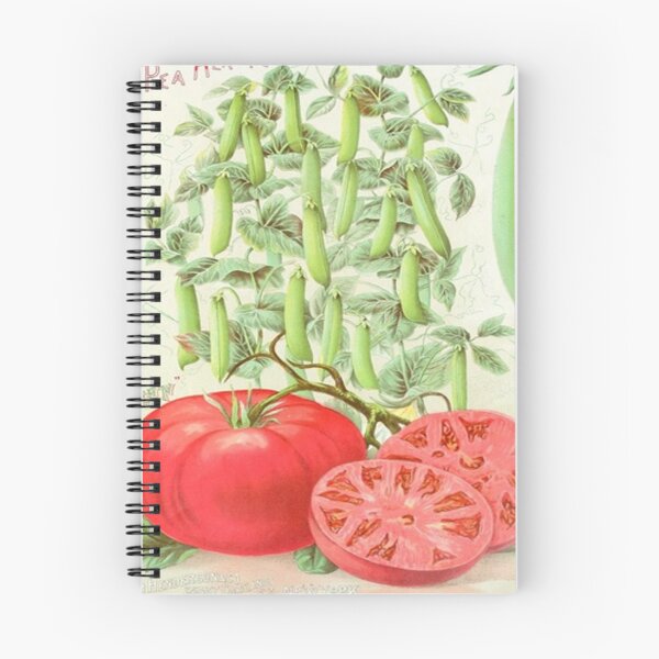 Item preview, Vintage Pea and Tomato Seed Packet from the 1800's designed and sold by MountMercantile.