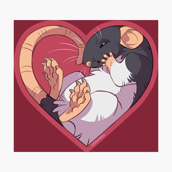 Heart Rat: Hooded Black Photographic Print