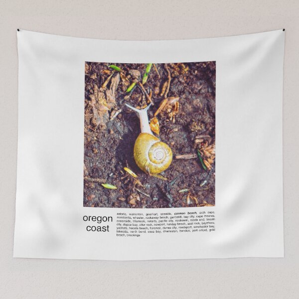 Item preview, Oregon Coast Travel Photography Minimalism-Snail designed and sold by anthonylonder.