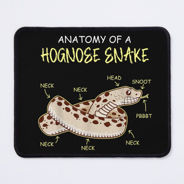 Item preview, Anatomy Snake Hook Nose Natter Hognosis Snake T-Shirt designed and sold by BoegelAdalbert.