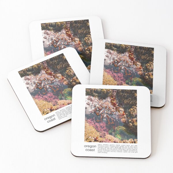 Item preview, Oregon Coast Travel Photography Minimalism-Tide Pool Color designed and sold by anthonylonder.