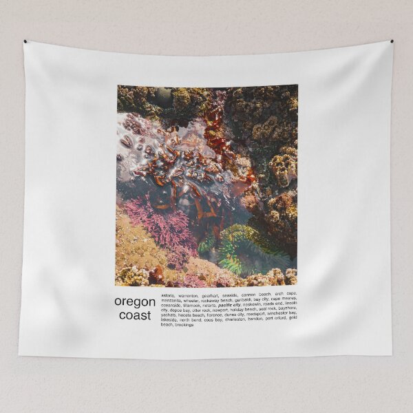 Item preview, Oregon Coast Travel Photography Minimalism-Tide Pool Color designed and sold by anthonylonder.