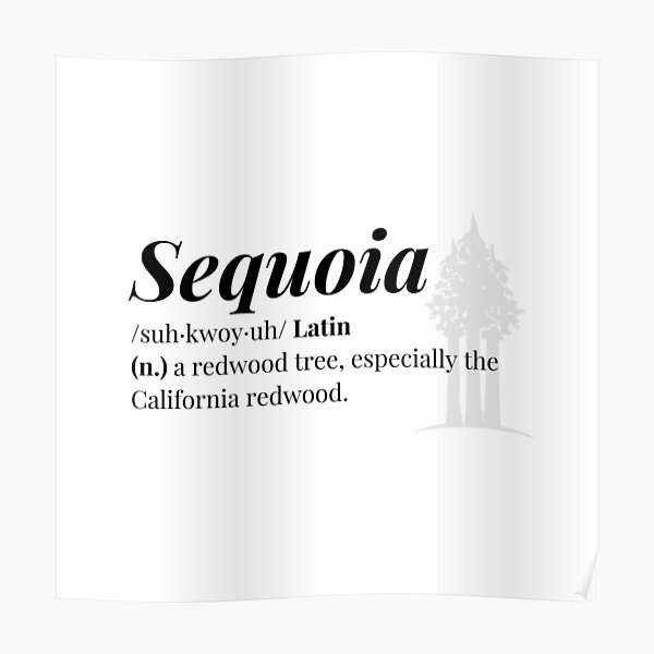 "Sequoia Word Definition " Poster for Sale by SkyeStLouis Redbubble