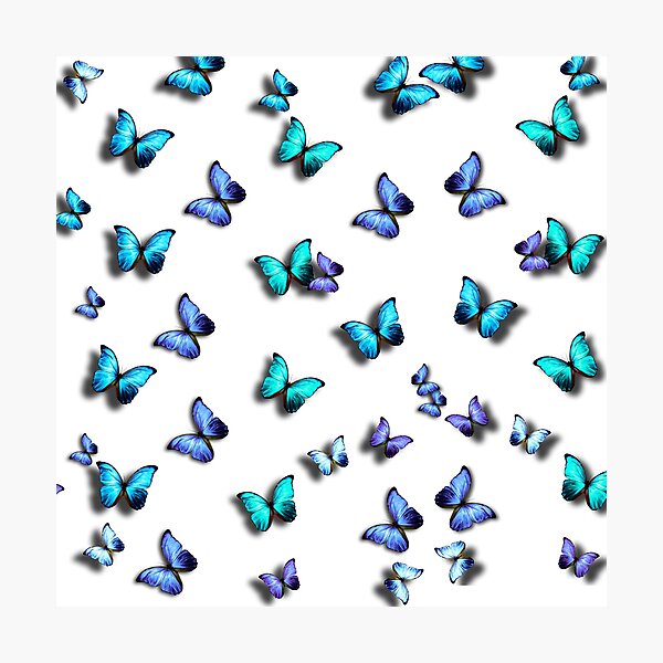 Supper Blue butterflies on a black background