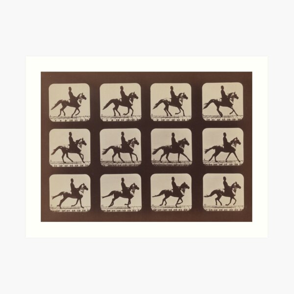 Horse Galloping: Eadweard Muybridge, 1879 Art Print
