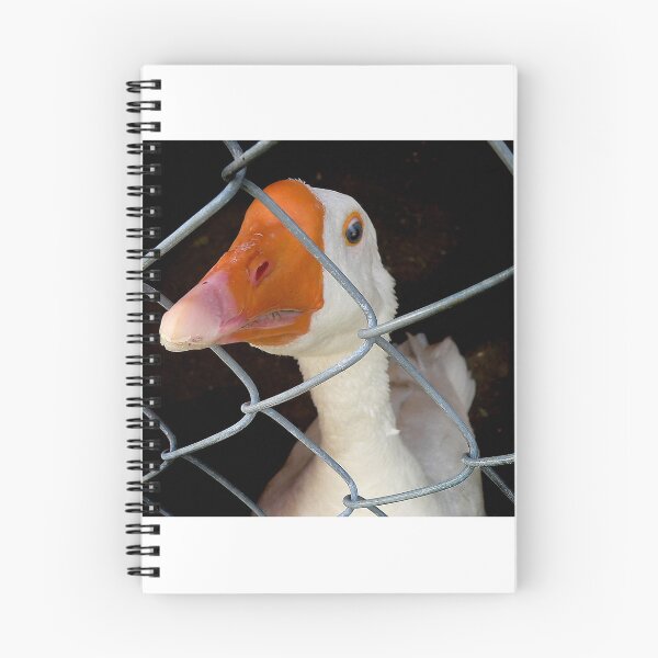 Item preview, Angry designed and sold by Gisele Bedard.