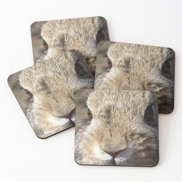 Bunny Coasters (Set of 4)